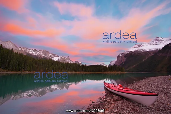 : Canada, Alberta, Jasper National Park. A : Canada, Alberta, Jasper National Park. A