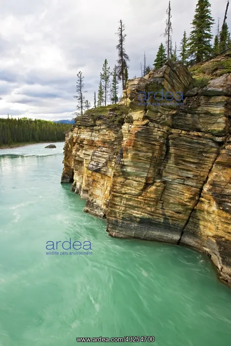 : Canada, Alberta, Jasper National Park, Athabasca : Canada, Alberta, Jasper National Park, Athabasca