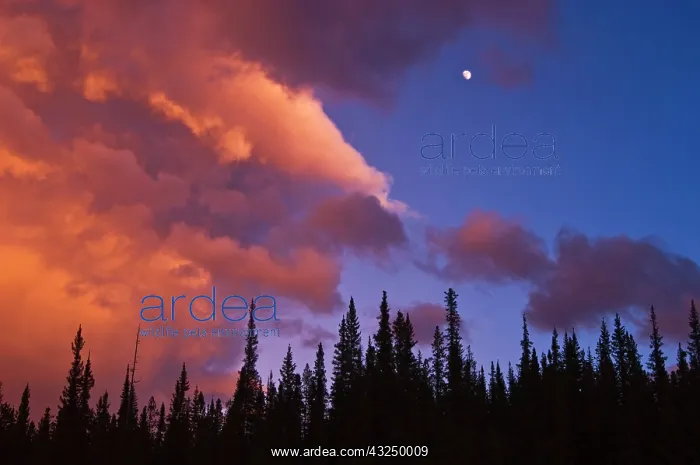 : Canada, Alberta, Jasper National Park. Clouds : Canada, Alberta, Jasper National Park. Clouds