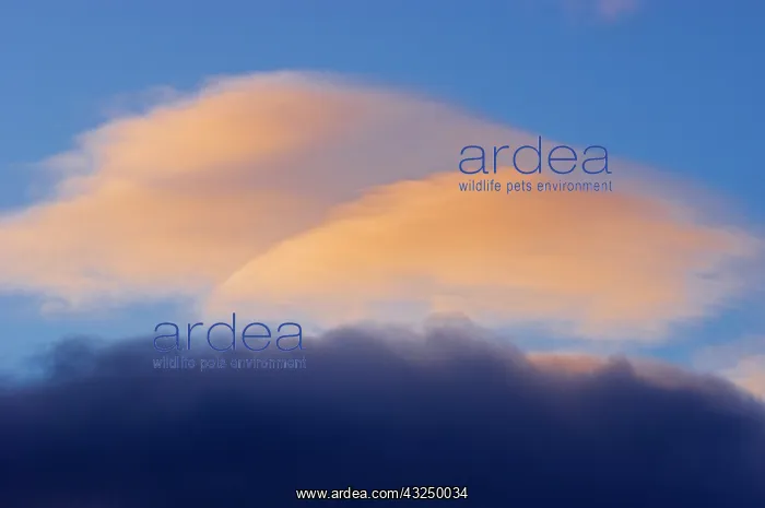 : Canada, Alberta, Jasper National Park. Lenticular : Canada, Alberta, Jasper National Park. Lenticular