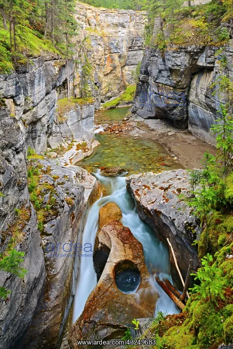 : Canada, Alberta, Jasper National Park. Maligne : Canada, Alberta, Jasper National Park. Maligne