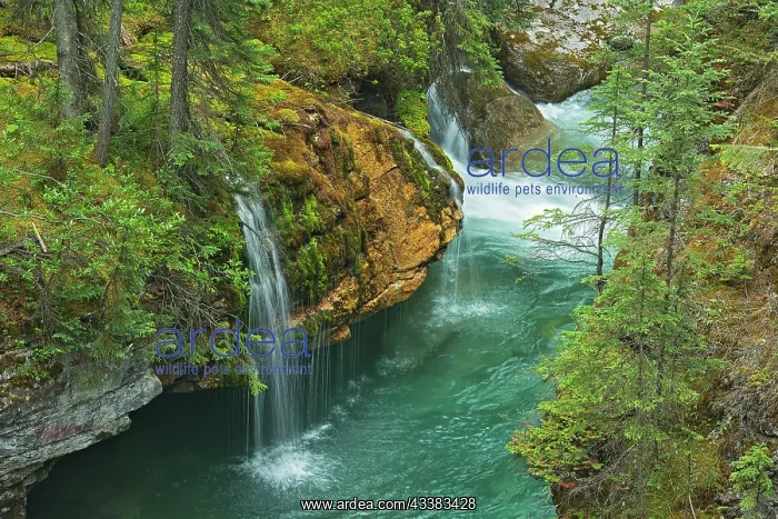 : Canada, Alberta, Jasper National Park. Overview : Canada, Alberta, Jasper National Park. Overview