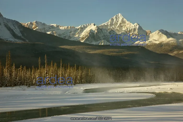 : Canada, Alberta, Jasper National Park. Steam : Canada, Alberta, Jasper National Park. Steam