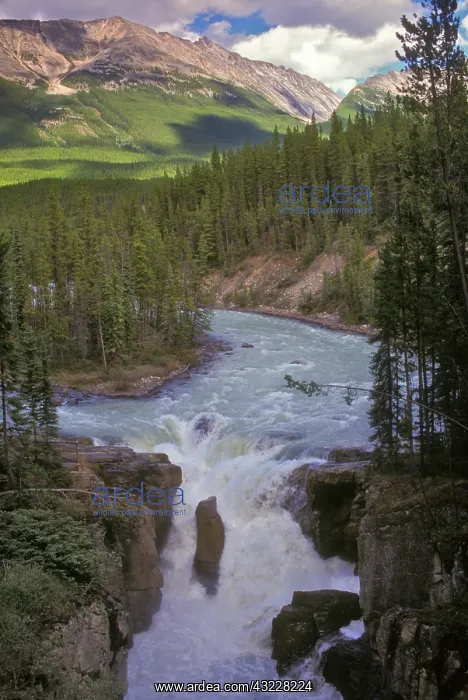 : Canada, Alberta, Jasper National Park. Upper : Canada, Alberta, Jasper National Park. Upper