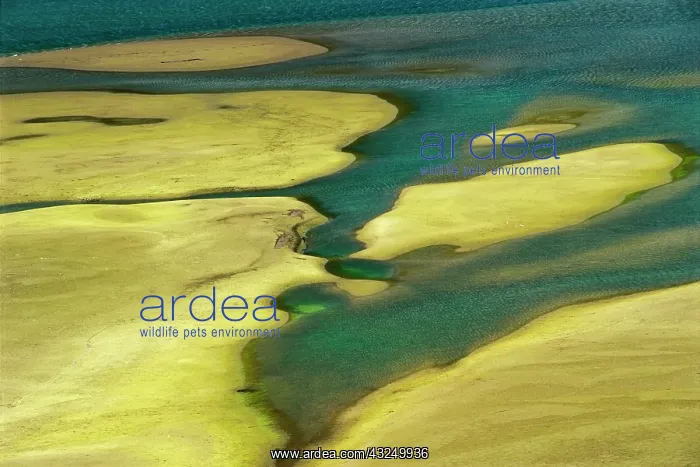 : Canada, Alberta, Kananaskis Country. Abstract : Canada, Alberta, Kananaskis Country. Abstract