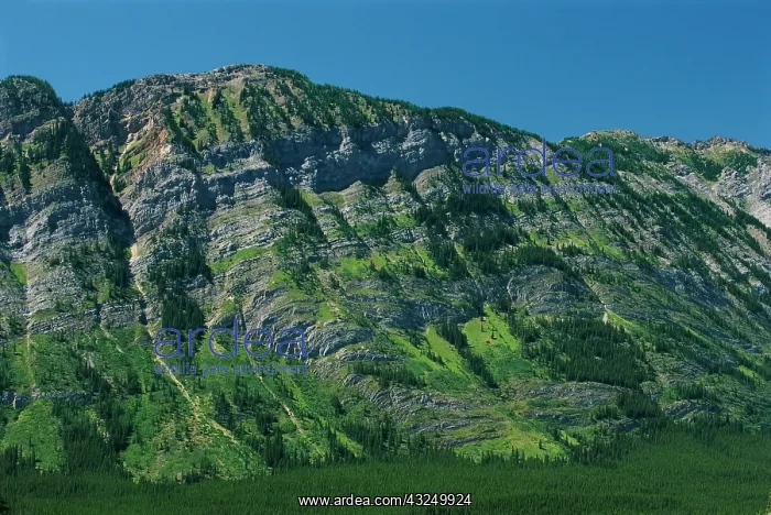 : Canada, Alberta, Kananaskis Country. Limestone : Canada, Alberta, Kananaskis Country. Limestone