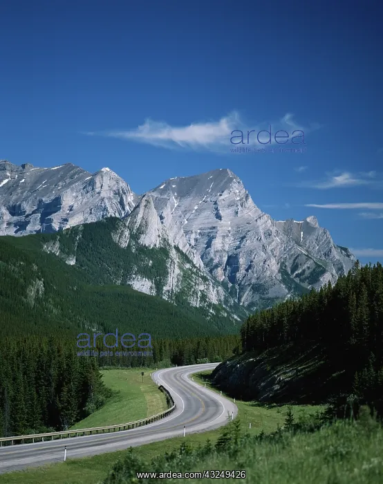 : Canada, Alberta, Kananaskis Country, Road : Canada, Alberta, Kananaskis Country, Road