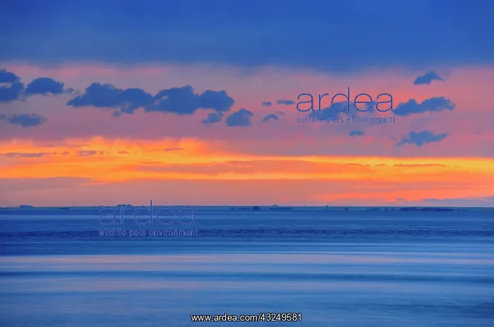 : Canada, Alberta, Kinbrook Island Provincial : Canada, Alberta, Kinbrook Island Provincial
