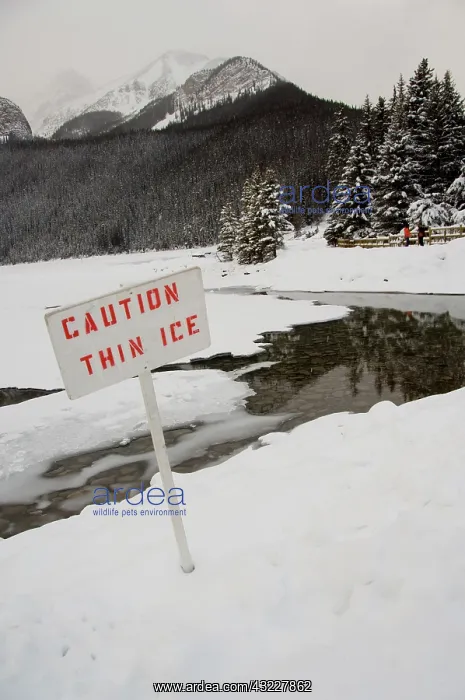  : Canada, Alberta, Lake Louise. Farimont Chateau
