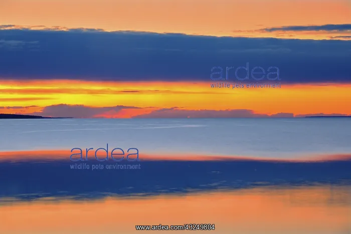 : Canada, Alberta. Lesser Slave Lake abstract : Canada, Alberta. Lesser Slave Lake abstract