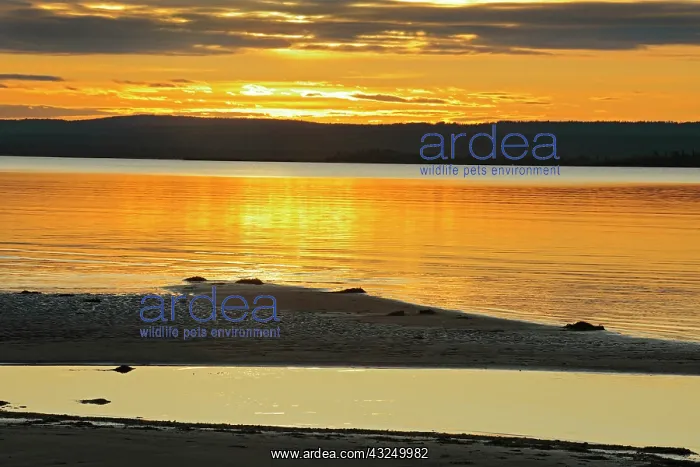 : Canada, Alberta, Lesser Slave Lake Provincial : Canada, Alberta, Lesser Slave Lake Provincial