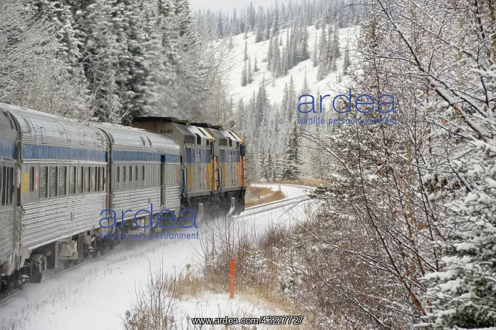: Canada, Alberta. VIA Rail Snow Train between : Canada, Alberta. VIA Rail Snow Train between