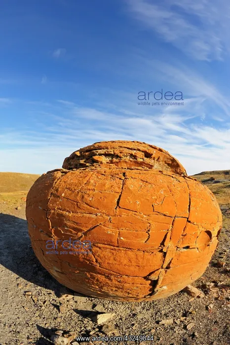 : Canada, Alberta, Red Rock Coulee Natural : Canada, Alberta, Red Rock Coulee Natural