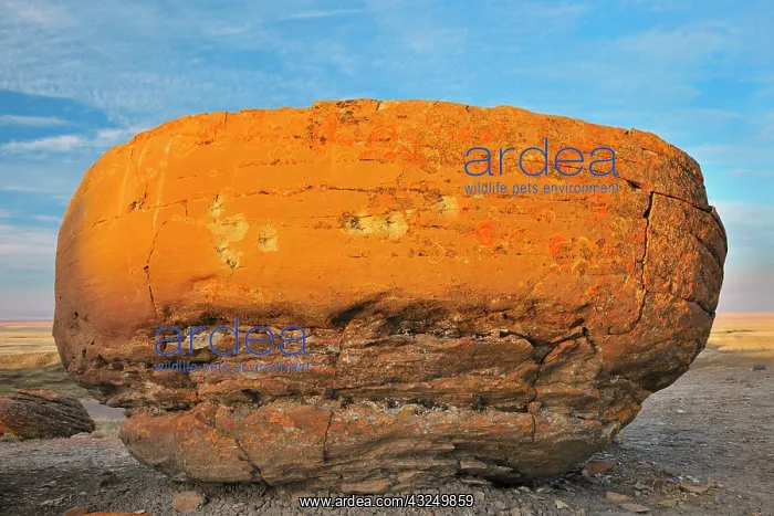  : Canada, Alberta, Red Rock Coulee Natural