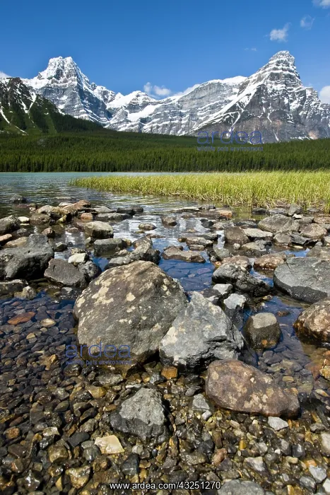 : Canada, Alberta, Rocky Mountains, Banff : Canada, Alberta, Rocky Mountains, Banff