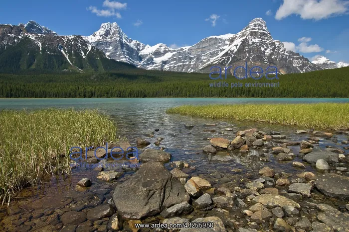 : Canada, Alberta, Rocky Mountains, Banff : Canada, Alberta, Rocky Mountains, Banff