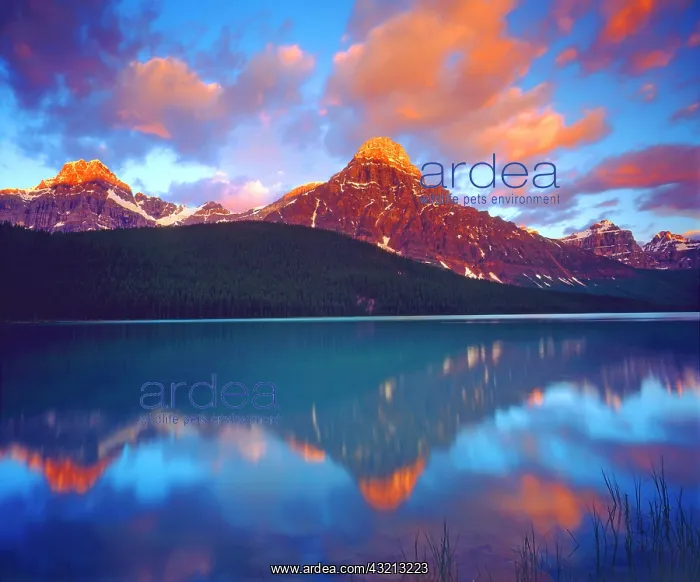 : Canada, Alberta, Sunrise over a lake in : Canada, Alberta, Sunrise over a lake in