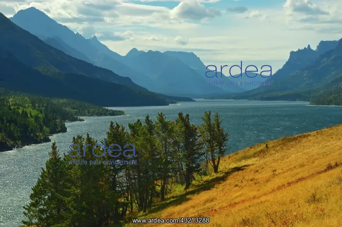  : Canada, Alberta, Waterton Lakes National