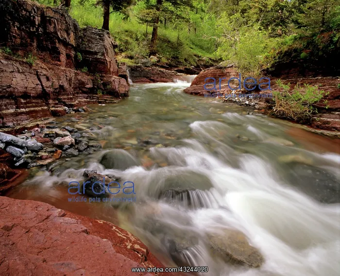 : Canada, Alberta, Waterton Lakes National : Canada, Alberta, Waterton Lakes National