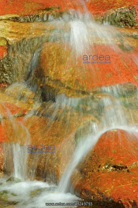 : Canada, Alberta, Waterton Lakes National : Canada, Alberta, Waterton Lakes National