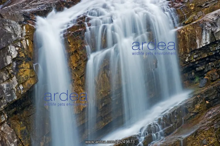  : Canada, Alberta, Waterton Lakes National