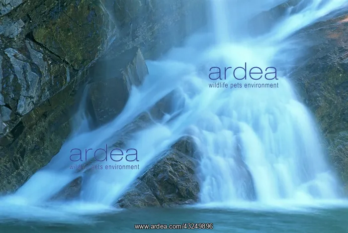  : Canada, Alberta, Waterton Lakes National