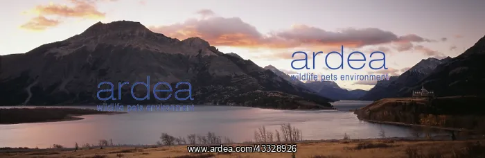 : Canada, Alberta, Waterton Lakes National : Canada, Alberta, Waterton Lakes National