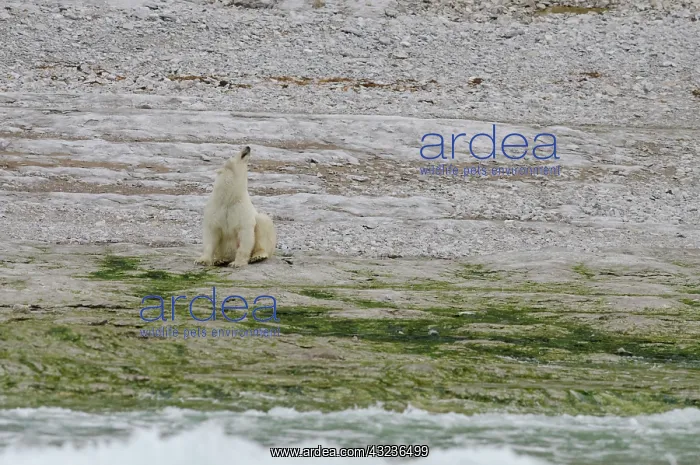 : Canada, Arctic Archipelago, Hudson Strait : Canada, Arctic Archipelago, Hudson Strait