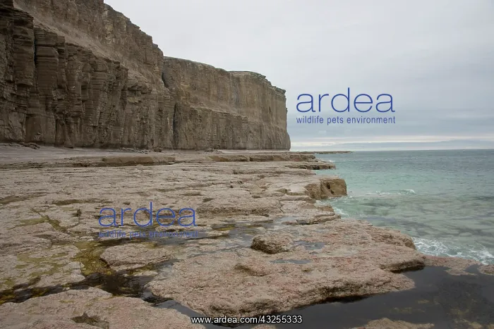 : Canada, Arctic Archipelago, Nunavut, Akpatok : Canada, Arctic Archipelago, Nunavut, Akpatok