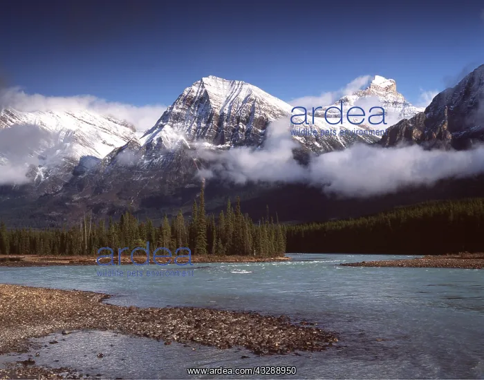 : CANADA - Athabasca River and Mount Fryatt (3361 m) : CANADA - Athabasca River and Mount Fryatt (3361 m)