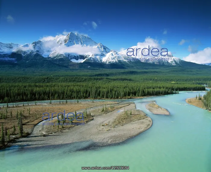 : CANADA - Athabasca River & Rocky Mountains : CANADA - Athabasca River & Rocky Mountains