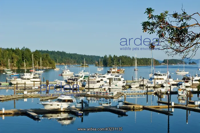 : Canada, BC, Gulf Islands, Salt Spring Island : Canada, BC, Gulf Islands, Salt Spring Island