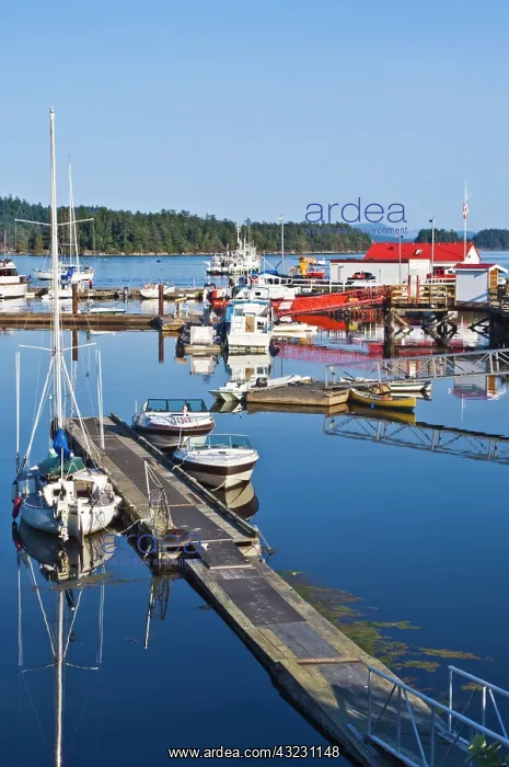 : Canada, BC, Gulf Islands, Salt Spring Island : Canada, BC, Gulf Islands, Salt Spring Island