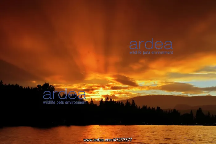 : Canada, British Columbia, Blind Bay. God : Canada, British Columbia, Blind Bay. God
