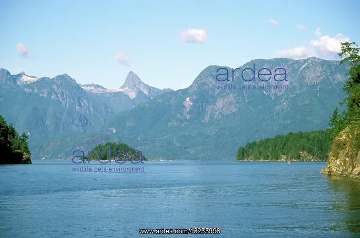 : Canada, British Columbia, Desolation Sound : Canada, British Columbia, Desolation Sound