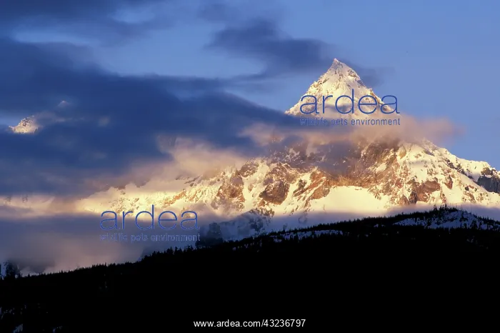 : Canada, British Columbia. Diamond Peak : Canada, British Columbia. Diamond Peak