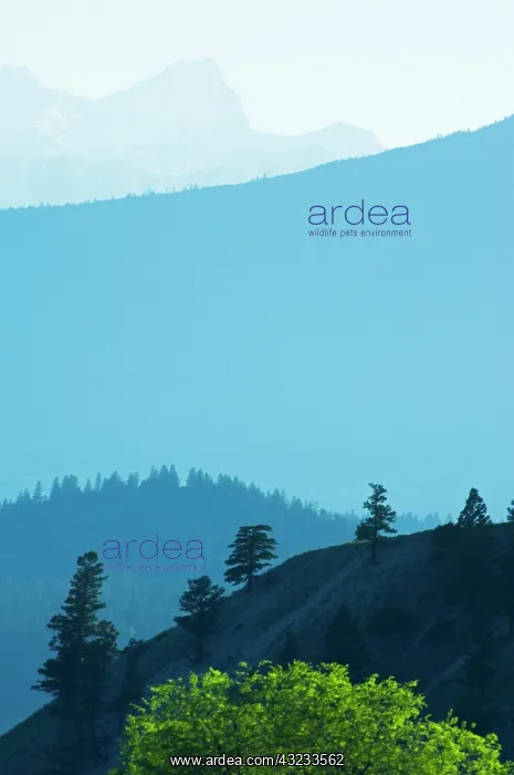 : Canada, British Columbia, Kootenay National : Canada, British Columbia, Kootenay National