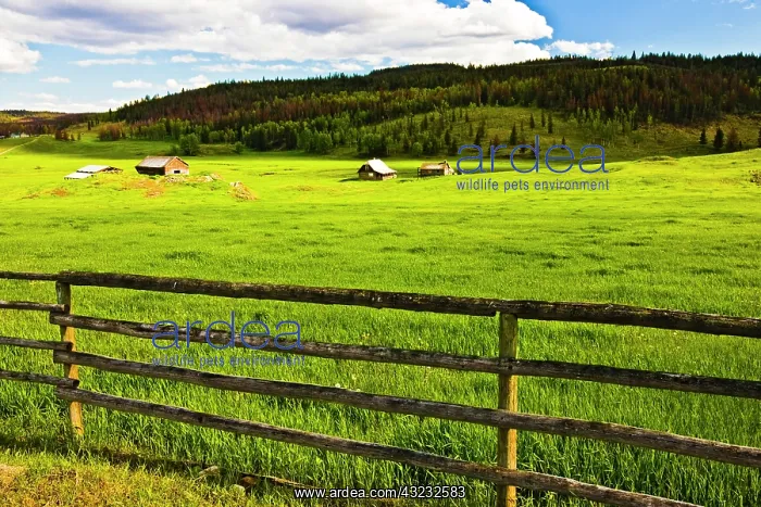 : Canada, British Columbia near Kamloops : Canada, British Columbia near Kamloops