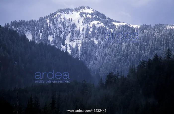 : Canada, British Columbia, Queen Charlotte : Canada, British Columbia, Queen Charlotte
