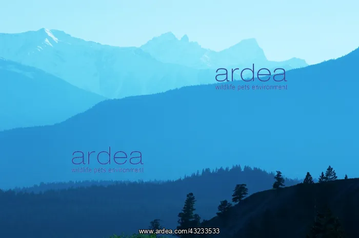 : Canada, British Columbia, Radium. Landscape : Canada, British Columbia, Radium. Landscape