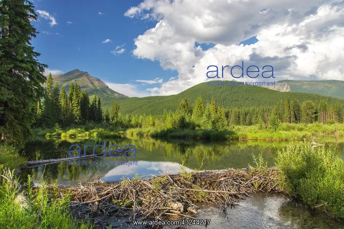 : Canada, British Columbia. Serene and reflective : Canada, British Columbia. Serene and reflective