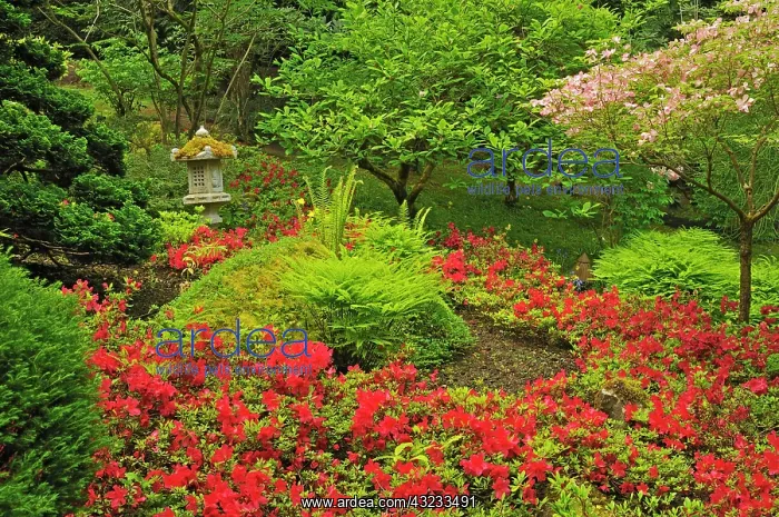 : Canada, British Columbia, Vancouver Island : Canada, British Columbia, Vancouver Island