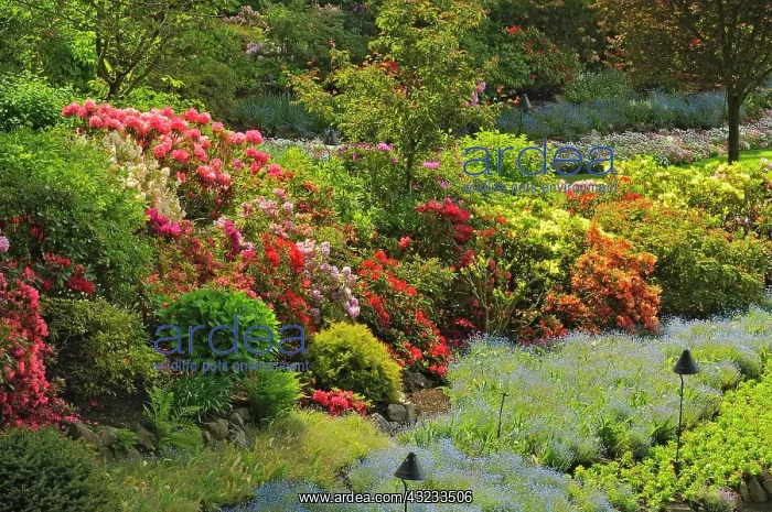 : Canada, British Columbia, Vancouver Island : Canada, British Columbia, Vancouver Island