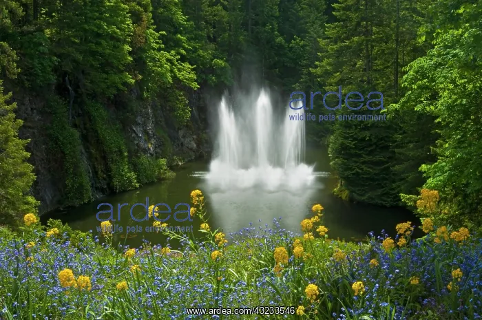 : Canada, British Columbia, Vancouver Island : Canada, British Columbia, Vancouver Island