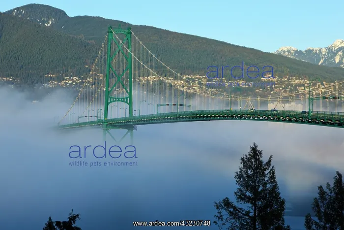 : Canada, British Columbia, Vancouver, Stanley : Canada, British Columbia, Vancouver, Stanley