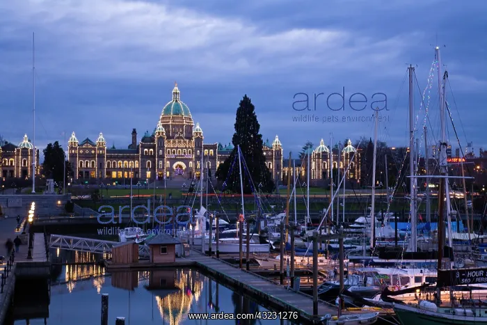 : CANADA, British Columbia, Victoria. Evening : CANADA, British Columbia, Victoria. Evening