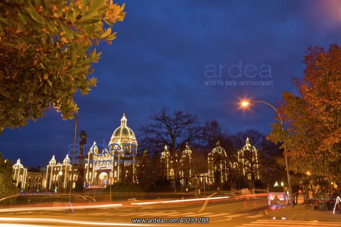  : CANADA, British Columbia, Victoria. Evening
