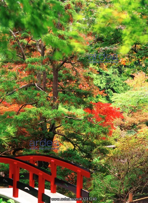 : Canada, British Columbia, Victoria, View : Canada, British Columbia, Victoria, View