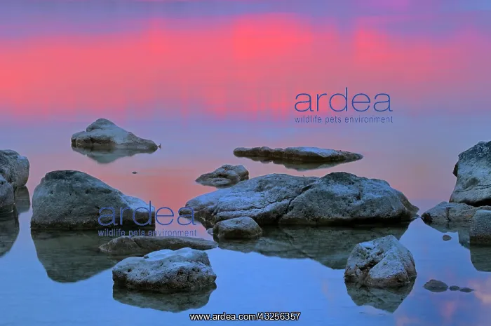 : Canada, Bruce Peninsula. Sunset on Berford : Canada, Bruce Peninsula. Sunset on Berford