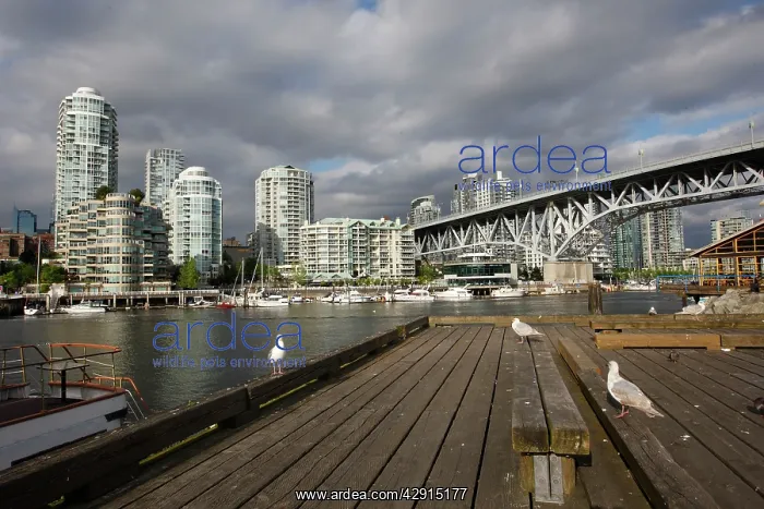 : Canada - Granville Island & False Creek in Vancouver, Canada : Canada - Granville Island & False Creek in Vancouver, Canada
